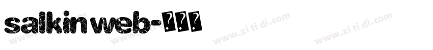 salkin web字体转换
